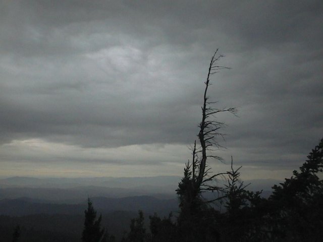 The King Range, looking east from Chamisal Mountain.