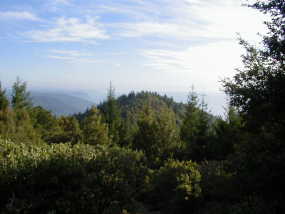 #1: Looking south over the site - ocean to the right