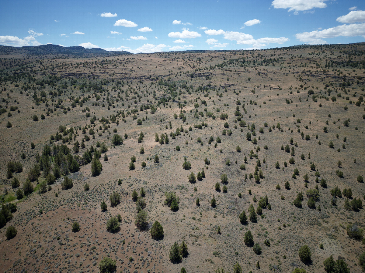 View South, from 120m above the point