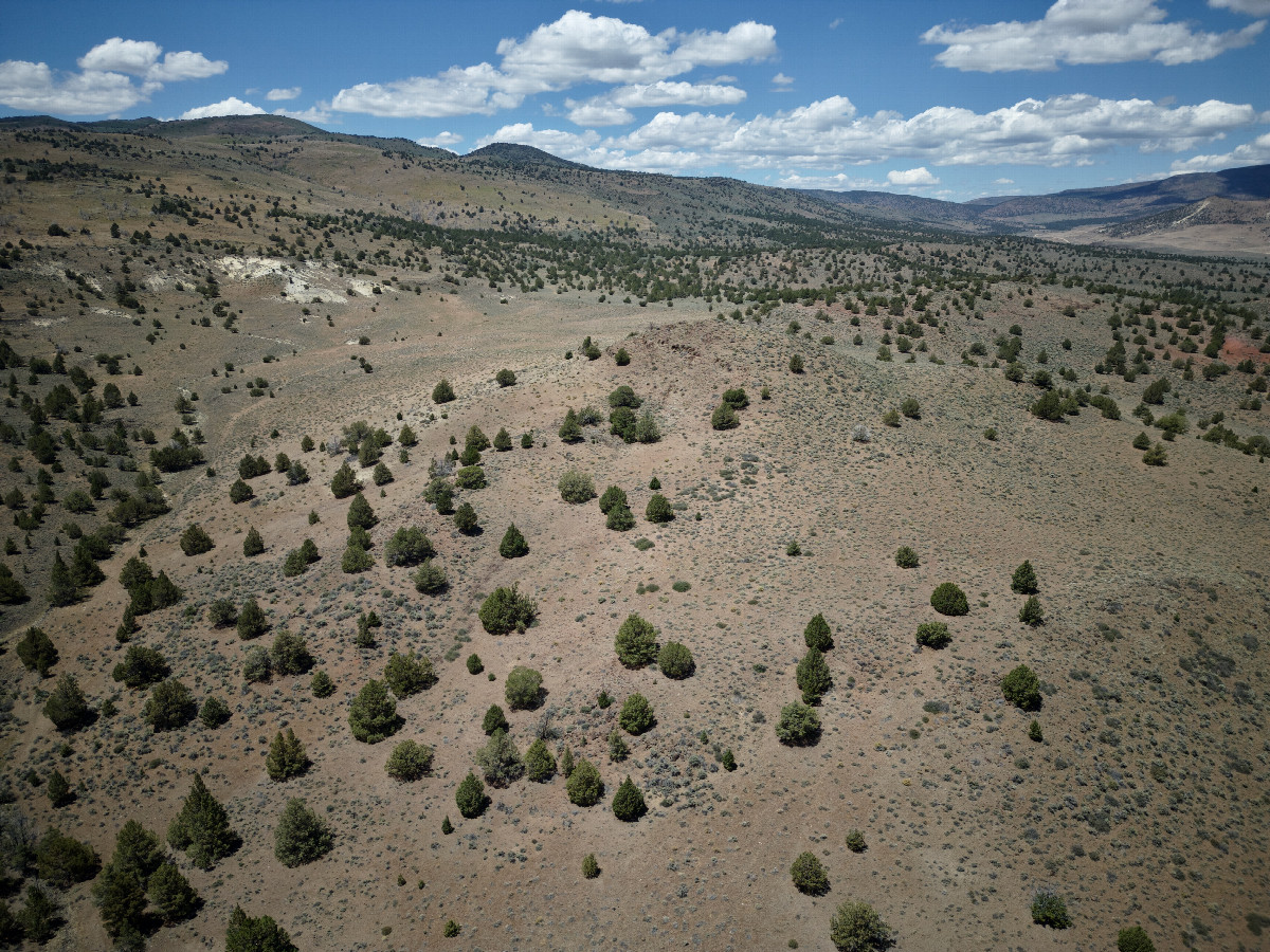 View West, from 120m above the point