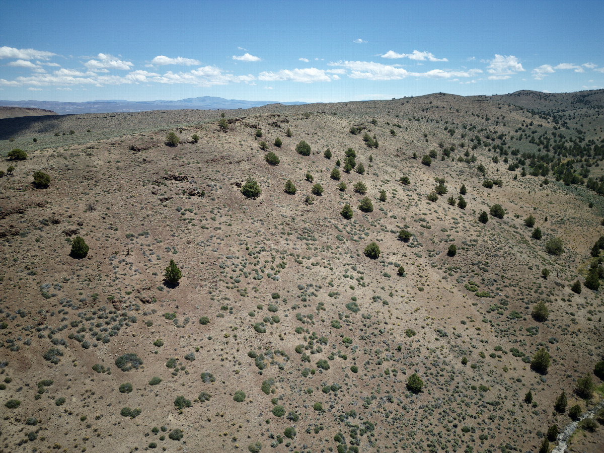 View East, from 120m above the point