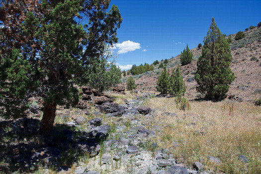 #1: The confluence point lies in a (currently dry) creek bed.  (This is also a view to the North, along the California-Nevada state line.)