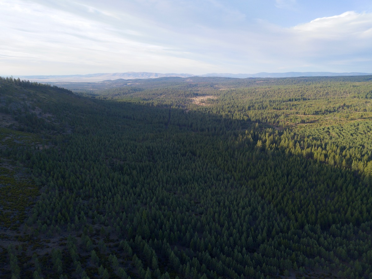 View North, from 120m above the point