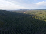 #8: View North, from 120m above the point