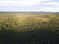 #9: View East (towards the nearby National Forest road), from 120m above the point