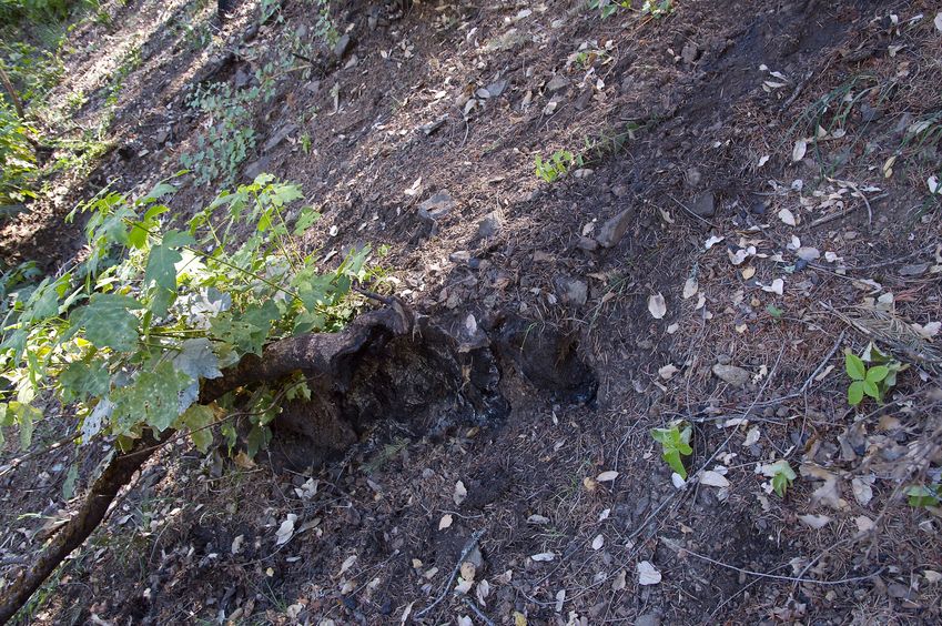 The confluence point lies on a very steep slope that had been burned by a wildfire one year earlier