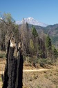 #8: Mount Shasta - a 14,179' (4322 m) volcano - seen from near the clearing above the confluence point