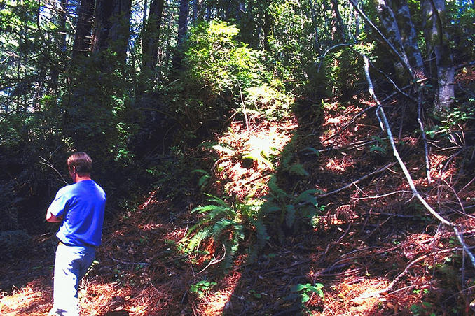 Nick is standing just downhill from the confluence which is near the base of the small trees on the right.