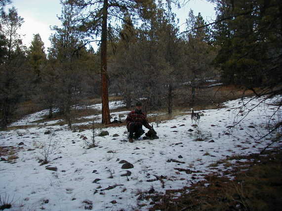 Light snow on the ground