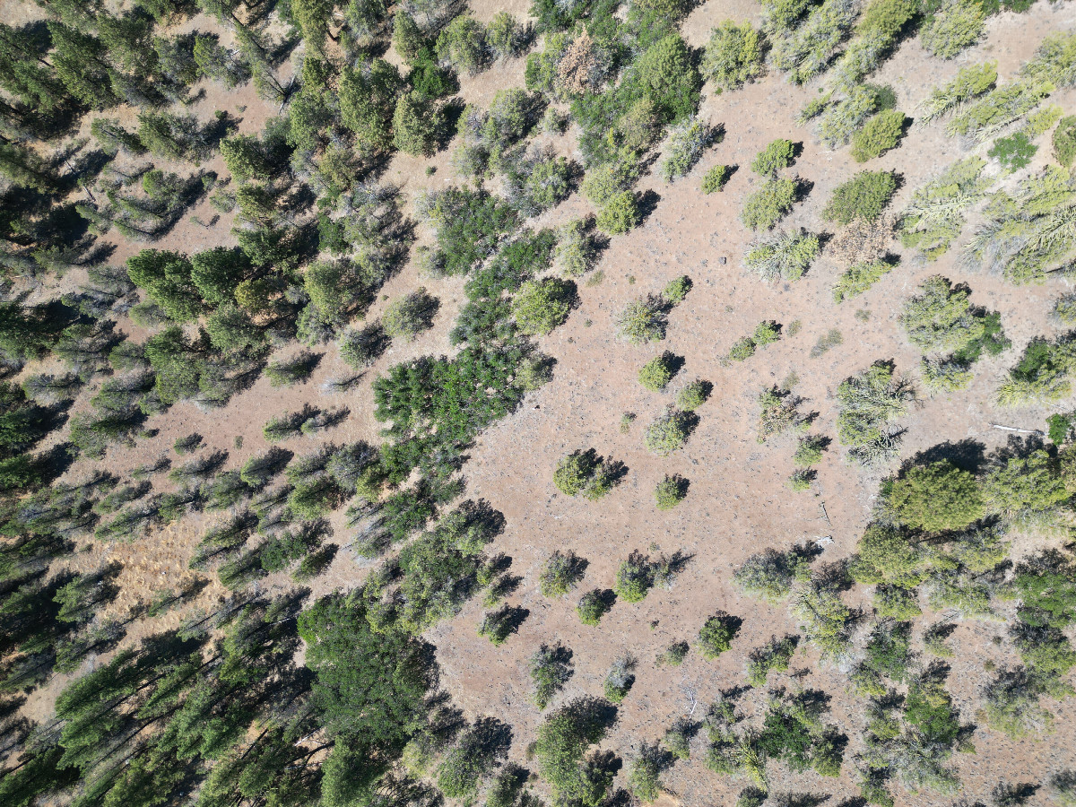 Looking down on the point from a height of 120m