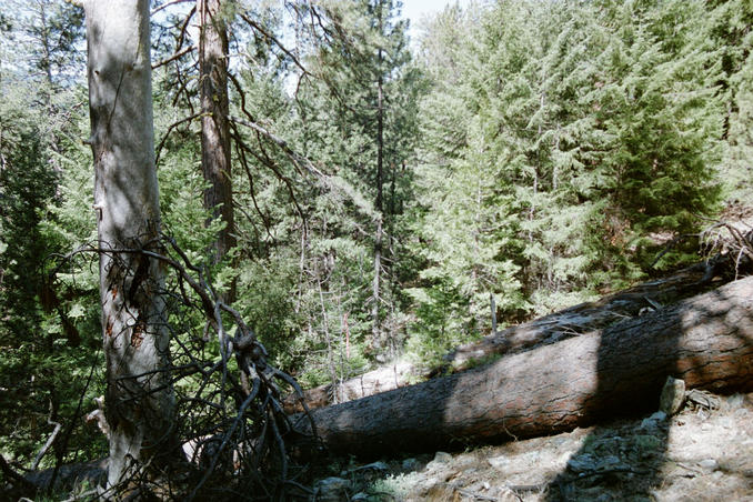 At the confluence looking WEST