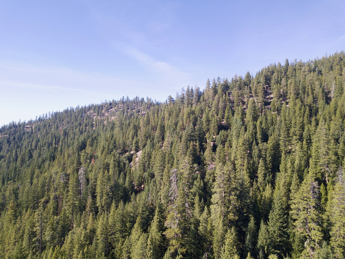 View West, from 120m above the point