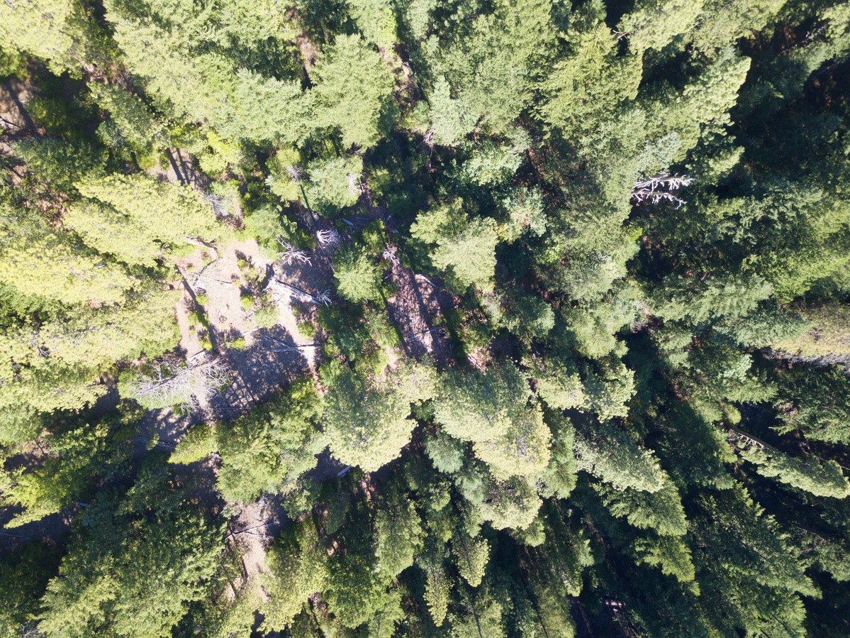 Looking down on the point from a height of 120m