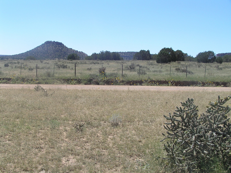 View to the south from the confluence point.