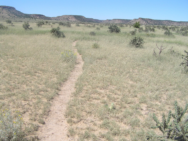 Trail heading northwest a few meters southwest of the confluence point: Explore the unknown!