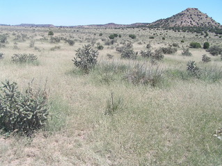 #1: Site of 37 North 103 West in the foreground, looking east.