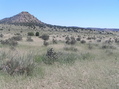 #3: View to the east from the confluence point.