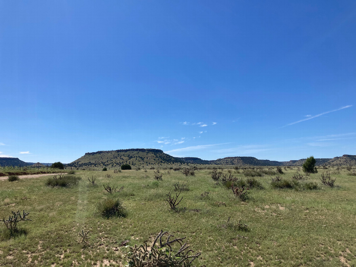 Looking west; the tripoint monument is this way, but hidden from view