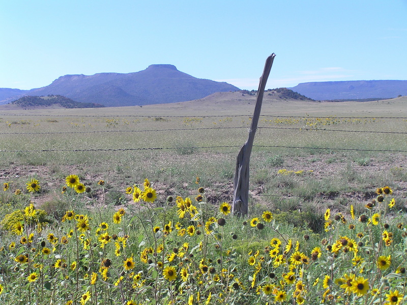 Beautiful view from 5 km north of the confluence, looking back south at the confluence. 