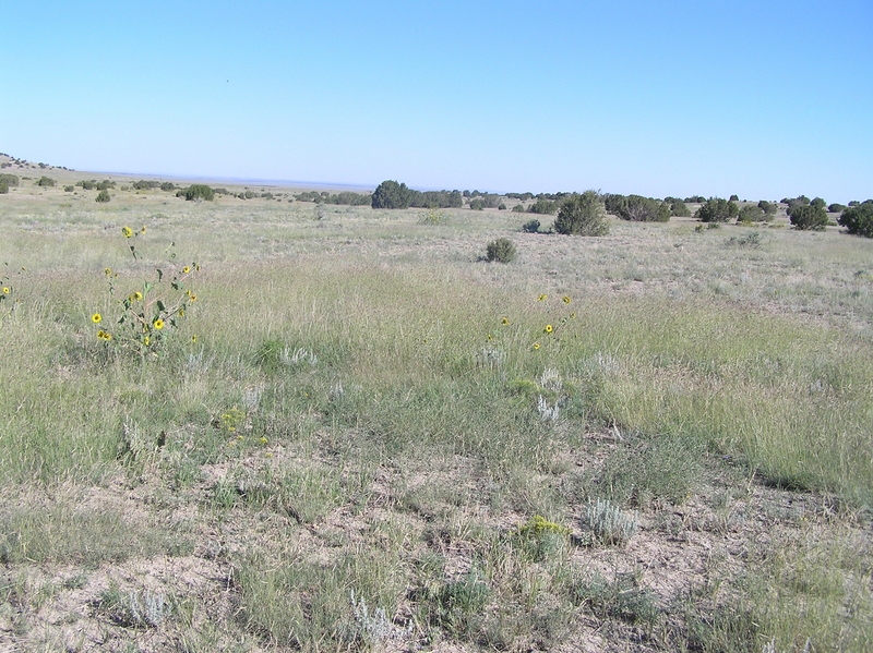 View to the north from the confluence--into Colorado.