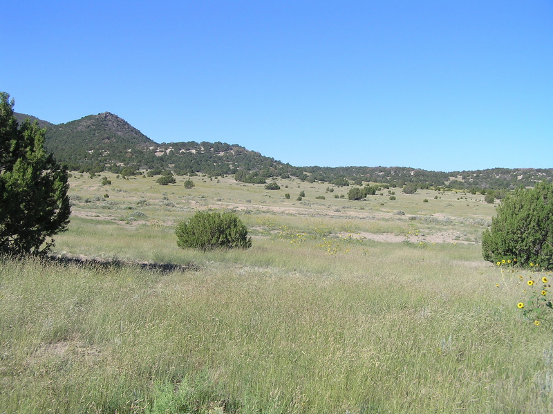 View to the west from the confluence.