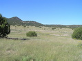 #7: View to the west from the confluence.