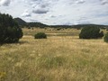 #2: View to the west from the confluence.