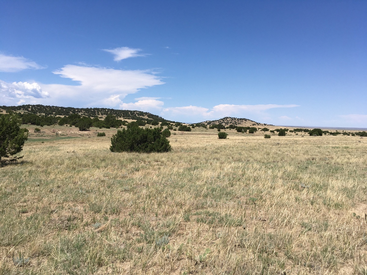 View NW toward the confluence in the foreground