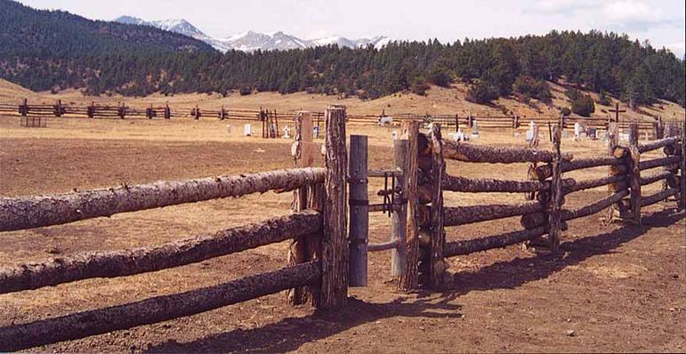 Pioneer Cemetery at Tercio, Colorado