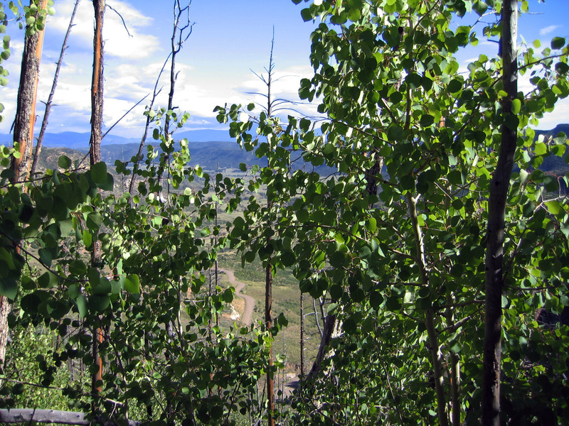 View north from confluence