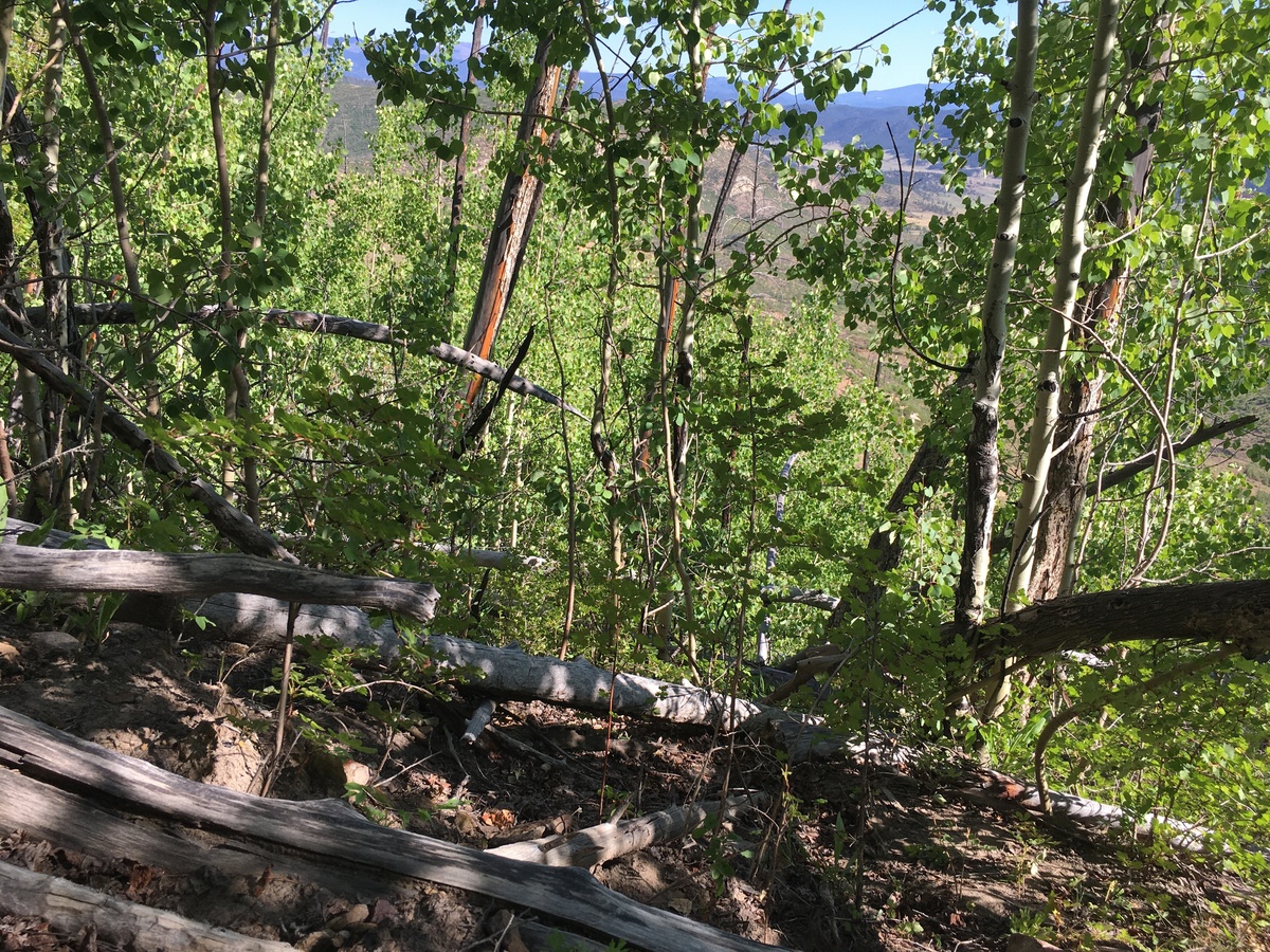 View NW toward the confluence in the foreground