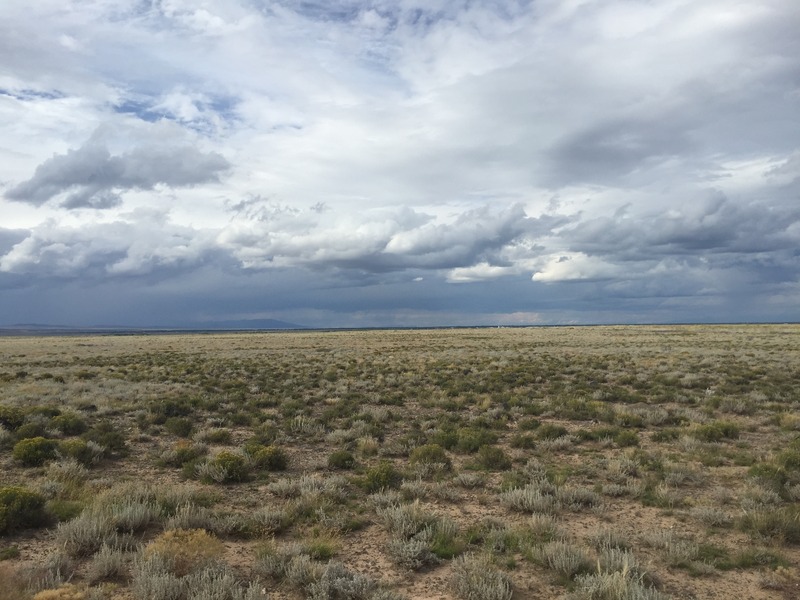 View to the north from the confluence.