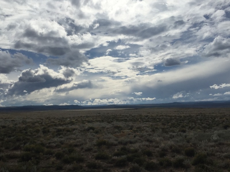 View to the west from the confluence. 