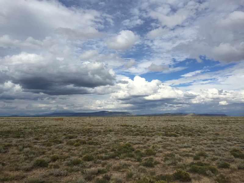 View to the east from the confluence. 