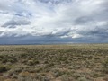 #4: View to the north from the confluence.