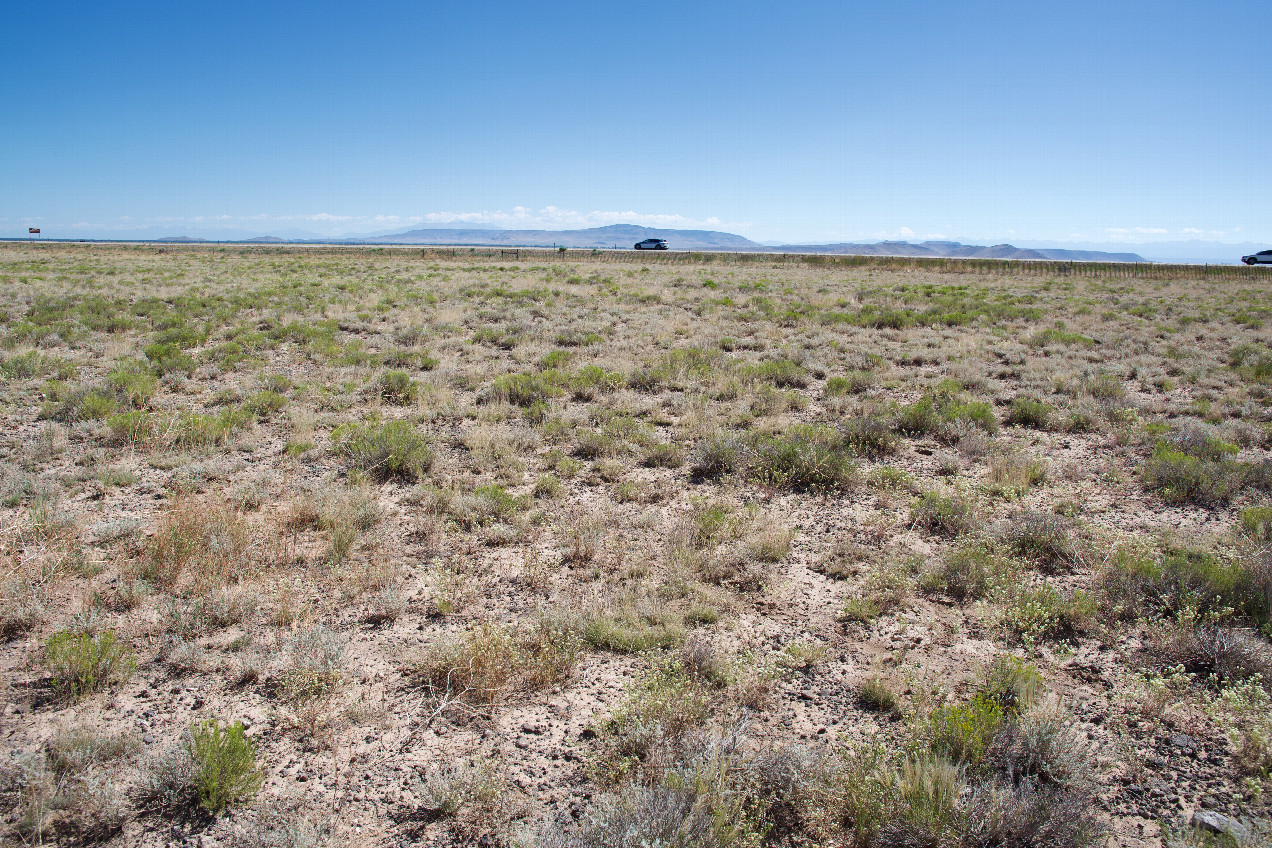 The confluence point lies just 350 feet from a highway.  (This is also a view to the East, towards the highway.)