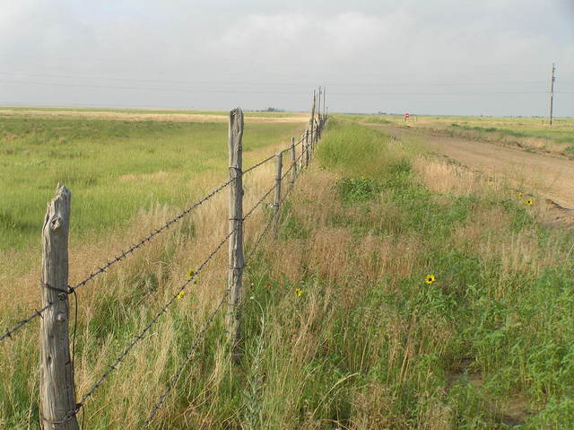 Nearest road to the confluence, at the end of the confluence hike, looking south.