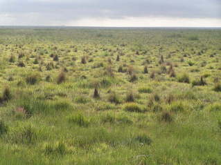 #1: Confluence of 38 North 103 West in the wide open southeast Colorado USA rangelands, looking east toward the confluence (middle of photo).