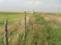 #8: Nearest road to the confluence, at the end of the confluence hike, looking south.