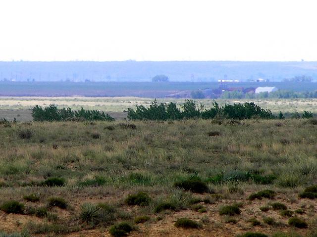 View to the north-northwest from the confluence.