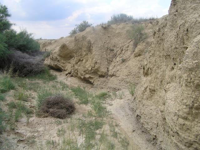 Gully about 190 meters southwest of the confluence.