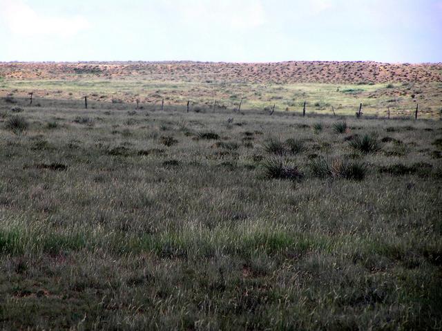 View to the south from the confluence.