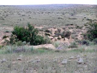 #1: Confluence of 38 North 104 West, looking due east on the Great Plains.