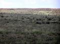 #7: View to the south from the confluence.