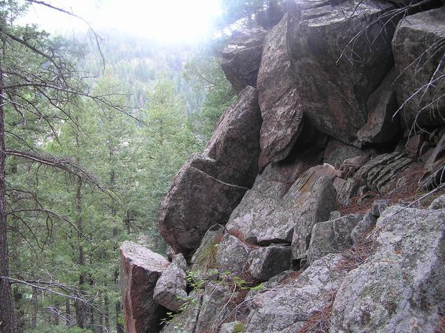 Quintessential Colorado:  Rocky Mountain Forests--View to the east from 38 North 105 West.