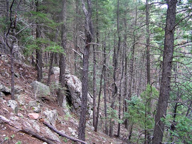 View to the west from the confluence.