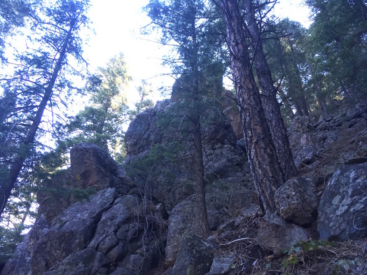 #1: View SE and up toward the confluence (rock in the center foreground)