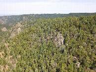 #9: View East, from above the point