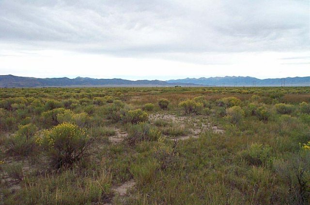 Looking north torwards upper part of the San Luis Valley