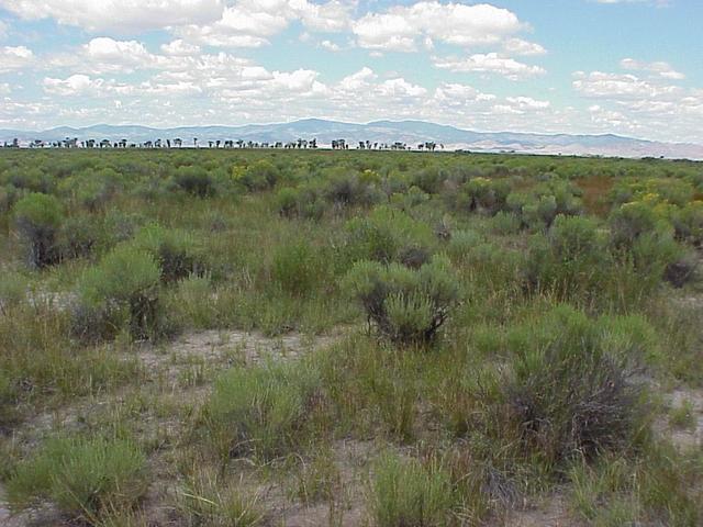 View to the west from the confluence toward the San Juan Mountains.